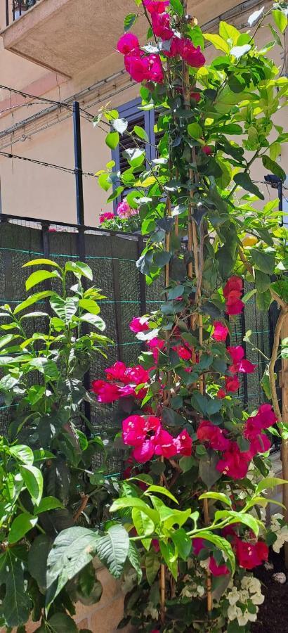 Lilibet Apartment Palermo Dış mekan fotoğraf